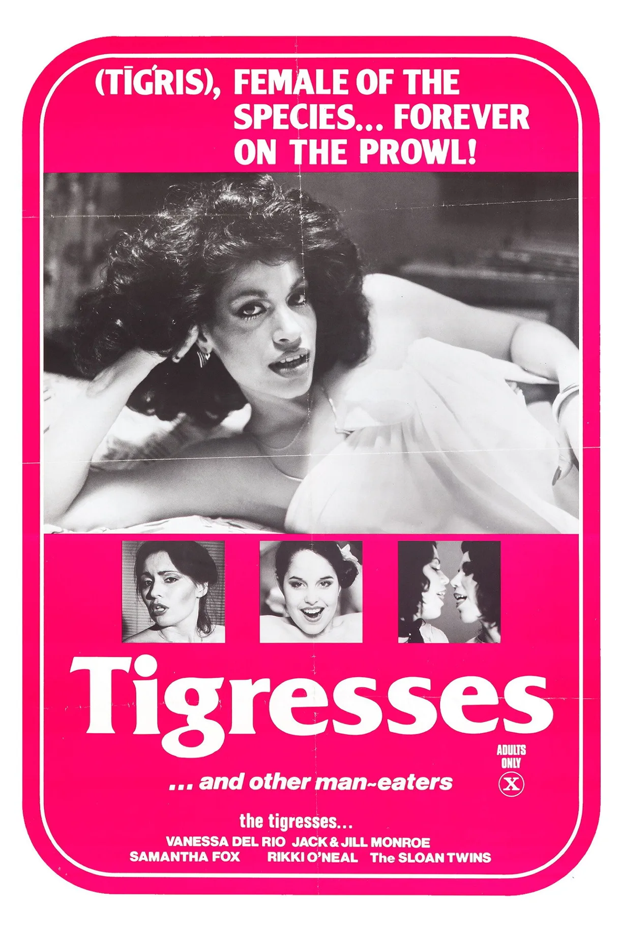 فيلم Tigresses and Other Man-eaters 1979 للكبار فقط  اون لاين 1979