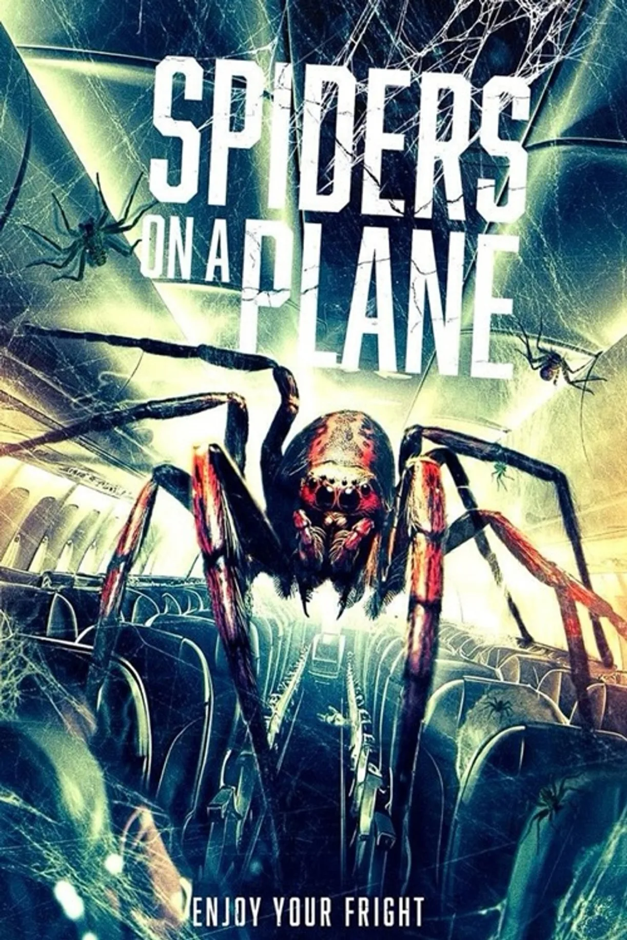فيلم Spiders on a Plane 2024 مترجم اون لاين 2024