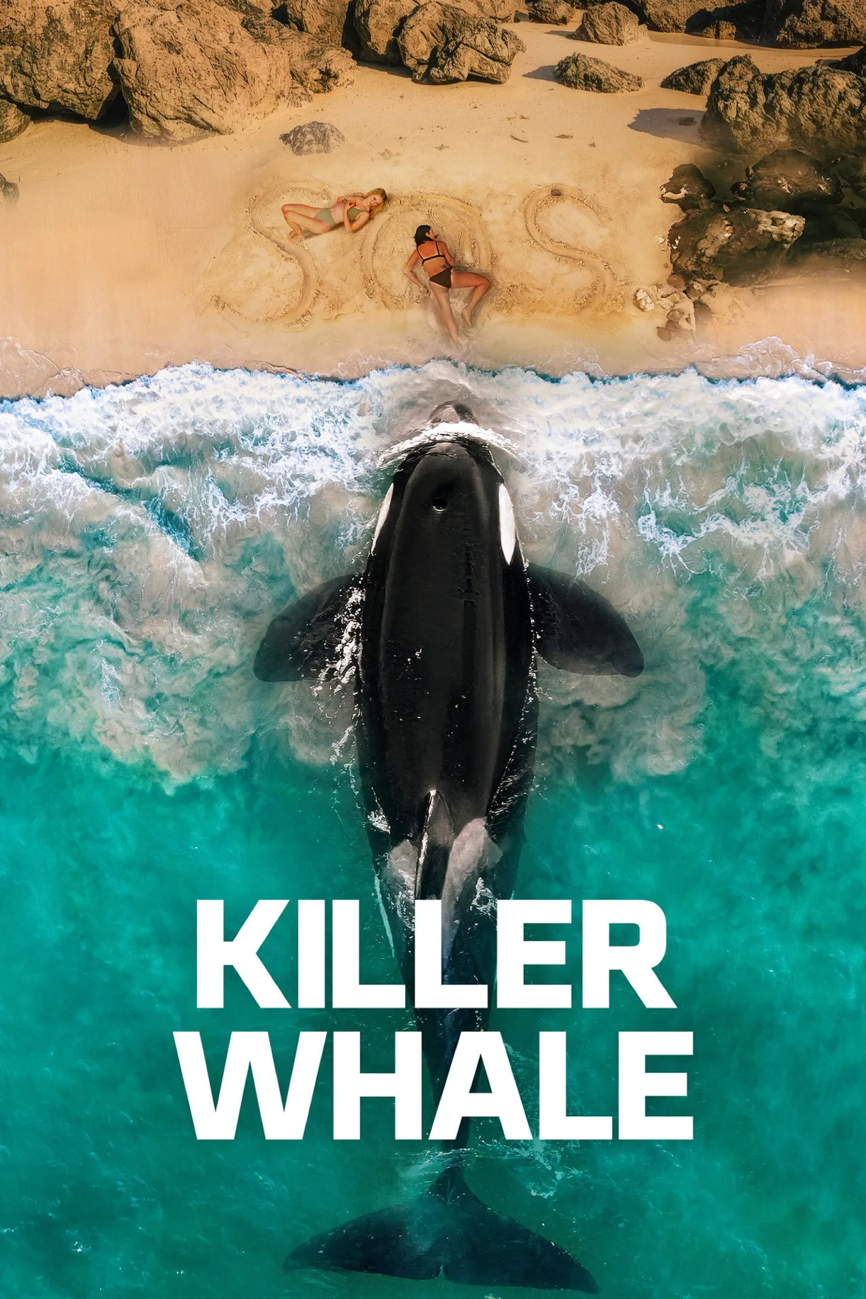 فيلم Killer Whale 2026 مترجم اون لاين 2026